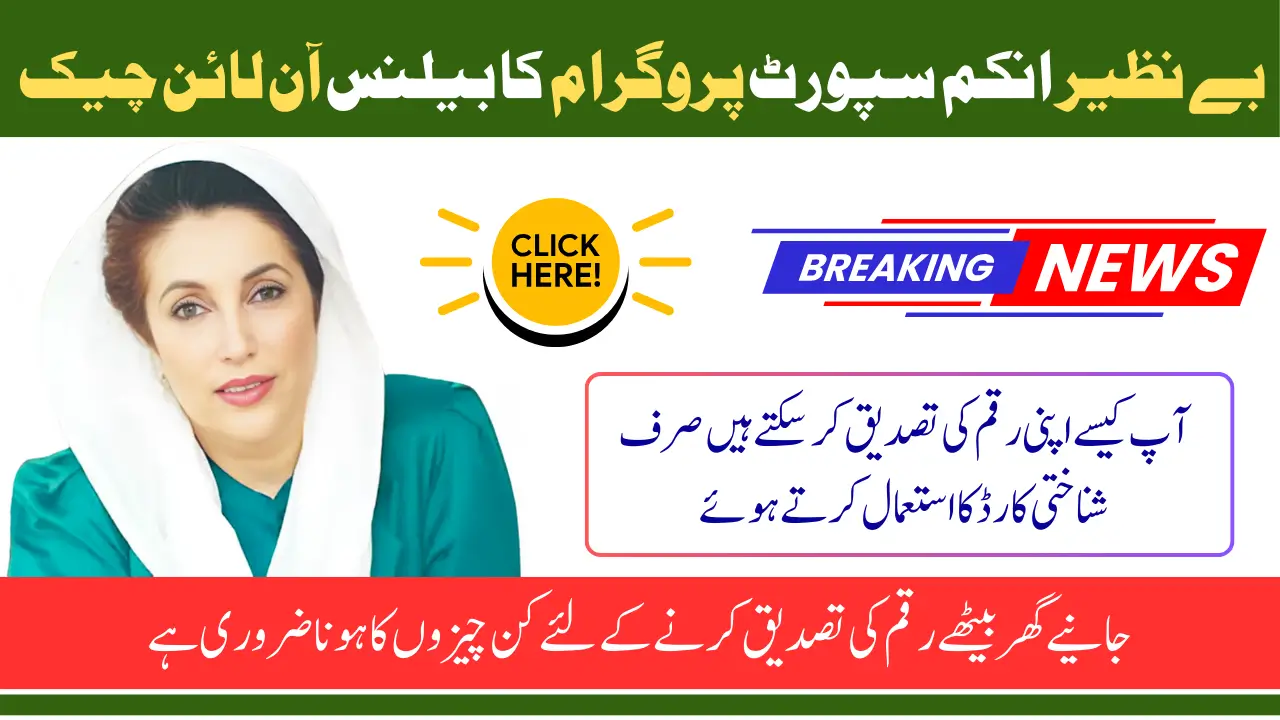 Check BISP 8171 Balance Online Just Using ID Card Number Latest Update 2025