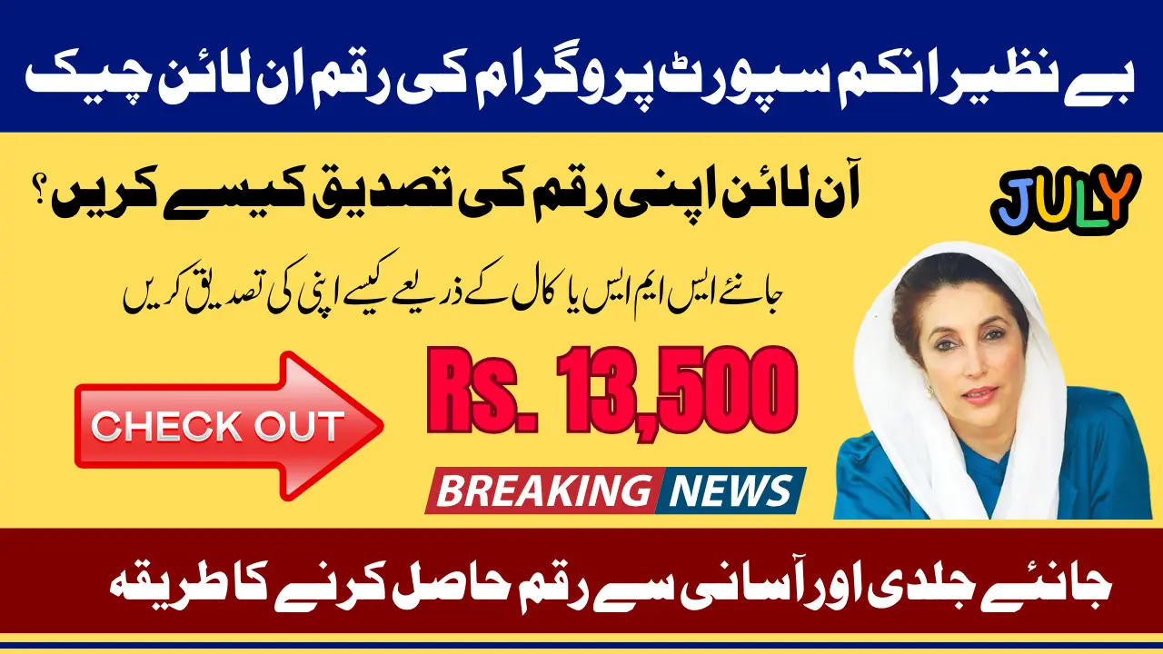 BISP 8171 Result Check Online CNIC Know Alternative Methods And Full Guide To Receive 13500