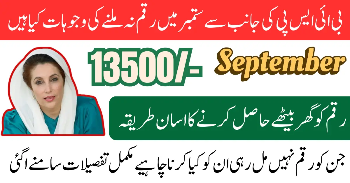 BISP September Payment Not Received CNIC and SMS 8171 Status Check Know Full Guide Step By Step