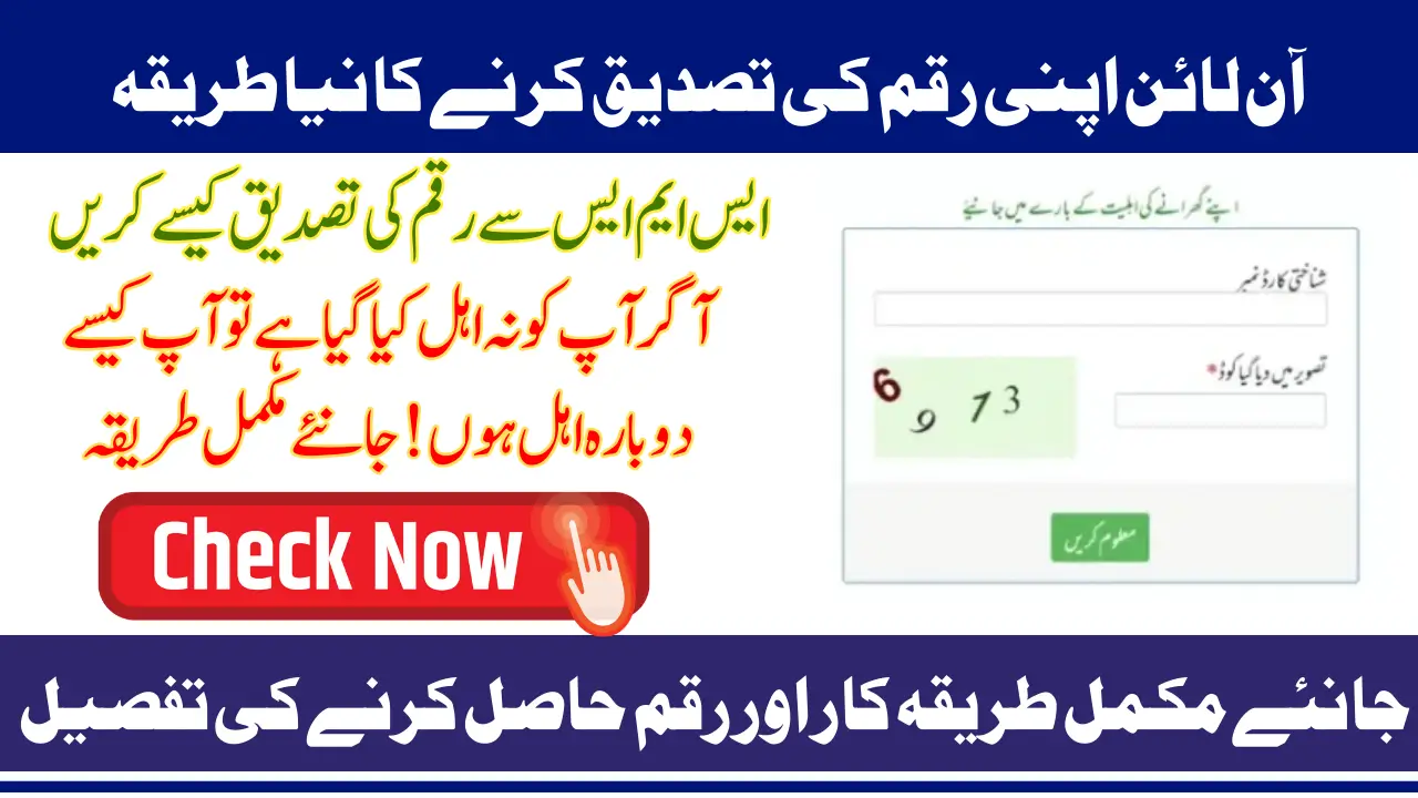 8171 Check Online CNIC 2025 Benazir Income Support Program Portal & SMS Method